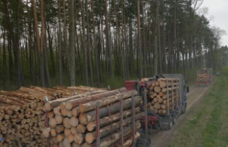 “Ikea, the lord of the forests”, on Arte: a discreet predator champion of greenwashing