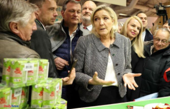 Marine Le Pen flies to the aid of Jordan Bardella after an imbroglio over floor prices