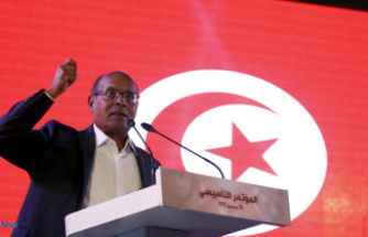 Tunisia: ex-president Moncef Marzouki sentenced in absentia to eight years in prison