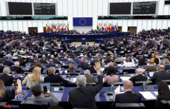 Energy Charter Treaty: MEPs vote in favor of leaving this text protecting fossil fuels