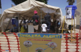 Cholera: in Mayotte, first three “native” cases confirmed