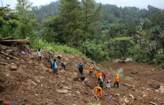 Landslide in Indonesia kills 20, final report says