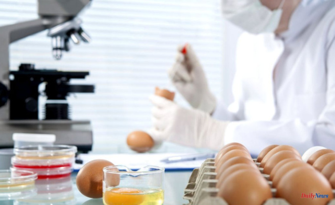 Mastering Food Safety With ISO 22000 Online Course