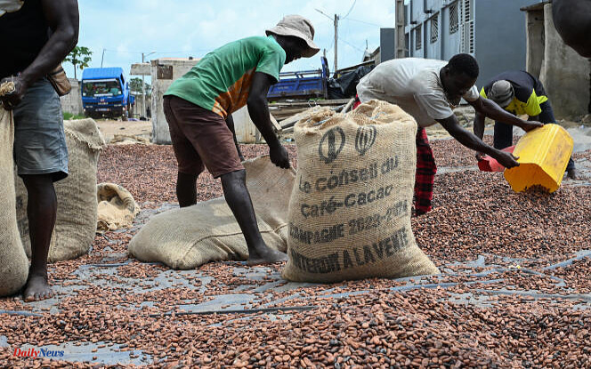 In Ivory Coast, cocoa farmers want to benefit from the rise in prices
