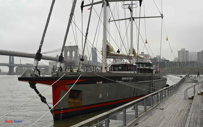 “Grain de Sail II”: the new Breton sailing cargo ship made its first transatlantic crossing between Saint-Malo and New York